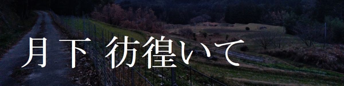 ヘッダー